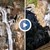 Планинари откриха случайно нов водопад в Пирин