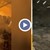 Пожар с огромни щети в стопанство в Петрич
