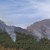 Нов пожар се разгоря в боровата гора над Карлово