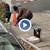 Нападнатият мъж в Бургас е намушкан с 40-сантиметров щик