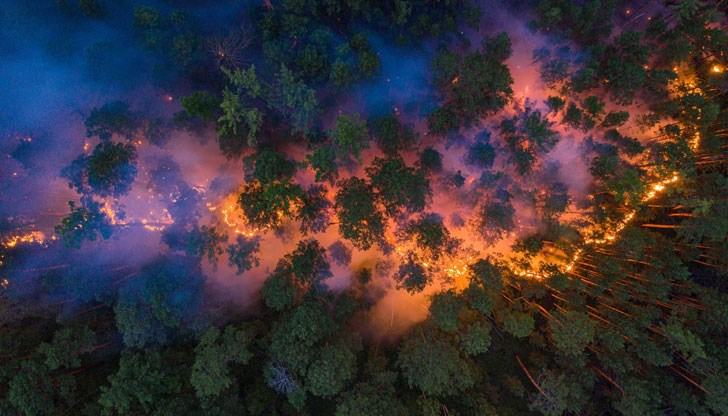 Пожарите са освободили около 150 милиона тона въглерод в атмосферата, като по този начин са допринесли за глобалното затопляне в един истински порочен кръг