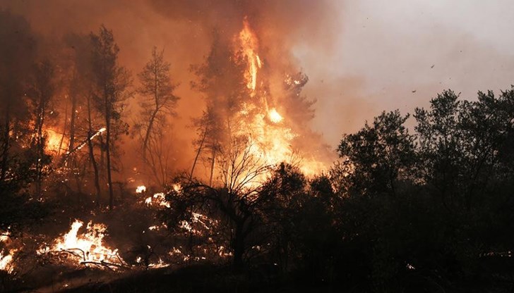На места пожарът е навлезнал до 700 метра На места пожарът е навлезнал до 700 метра