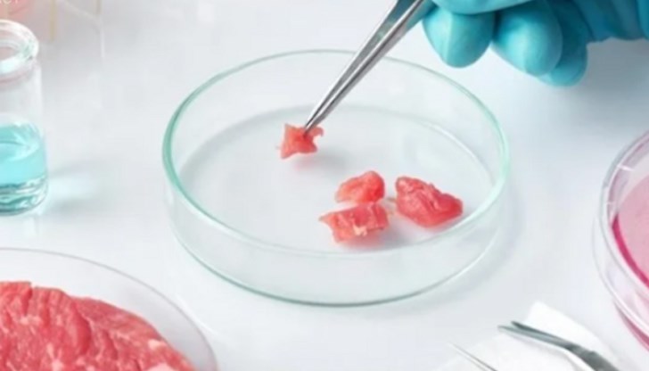 Месото е пилешко, култивирано чрез клетки от живи животни, които се отглеждат в резервоари от неръждаема стомана Месото е пилешко, култивирано чрез клетки от живи животни, които се отглеждат в резервоари от неръждаема стомана