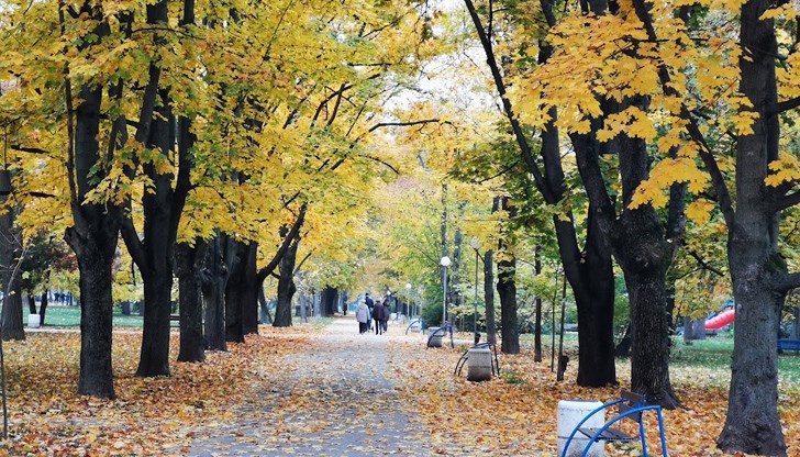 Минимална температура за Русе - 6 градуса, максимална - 12 градуса