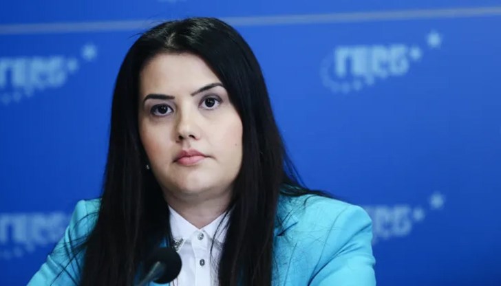 "Искаме проверка за извършени закононарушения", коментира депутатът Десислава Трифонова