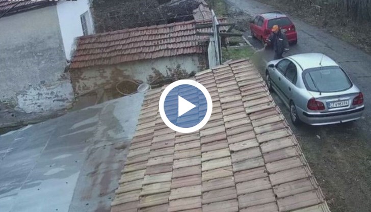 Тялото на животното е намерено пред къща в селото