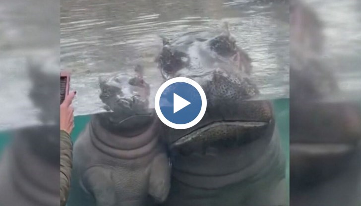 Случката е от Синсинати