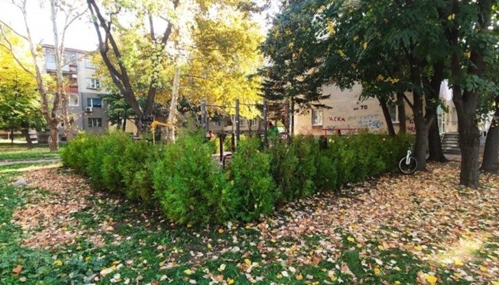 Програмата за озеленяване включва кварталите "Чародейка", "Дружба" и "Здравец"
