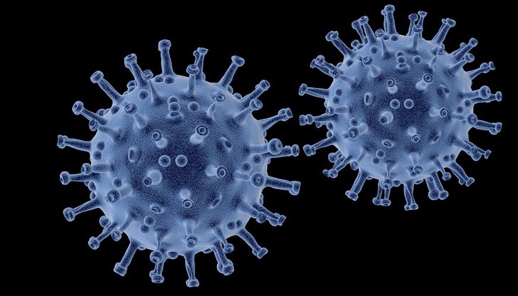 10,6% от пробите в страната са положителни 10,6% от пробите в страната са положителни