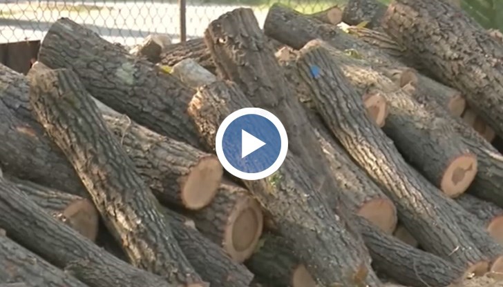 Колко притеснителна е ситуацията?