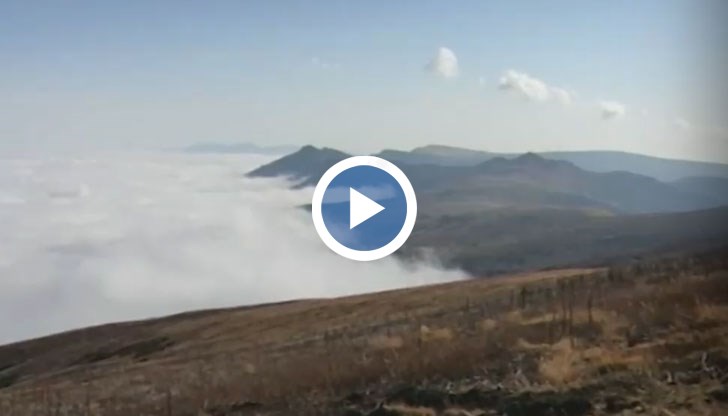 Четвърто денонощие няма следа от мъж, отишъл да бере боровинки в Чипровския балкан