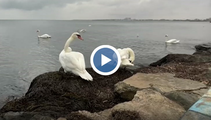 Подобни гледки са изключителна рядкост през активния туристически сезон