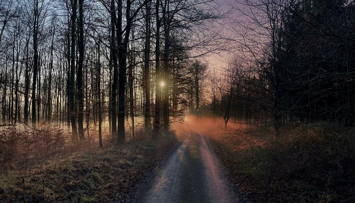 В източните райони в понеделник ще бъде мъгливо през целия ден В източните райони в понеделник ще бъде мъгливо през целия ден