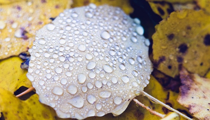 Температурите ще се понижат