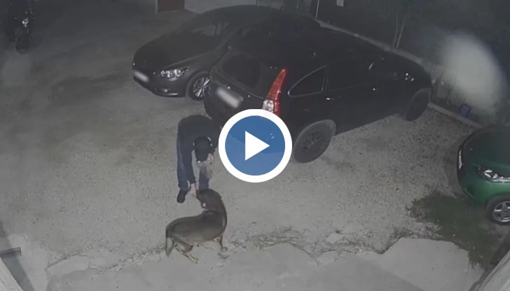 Мъжът беше заснет от видеокамера в столичния квартал „Карпузица“