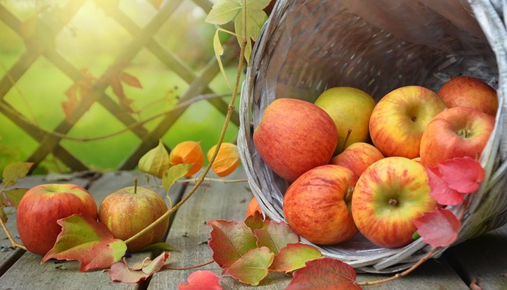 Консумацията на ябълки носи много ползи за здравето