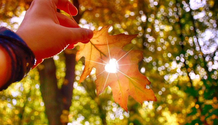 Много по-топло от обичайното беше и в цялата страна, с максимални температури от 25° и 30°. Много по-топло от обичайното беше и в цялата страна, с максимални температури от 25° и 30°.