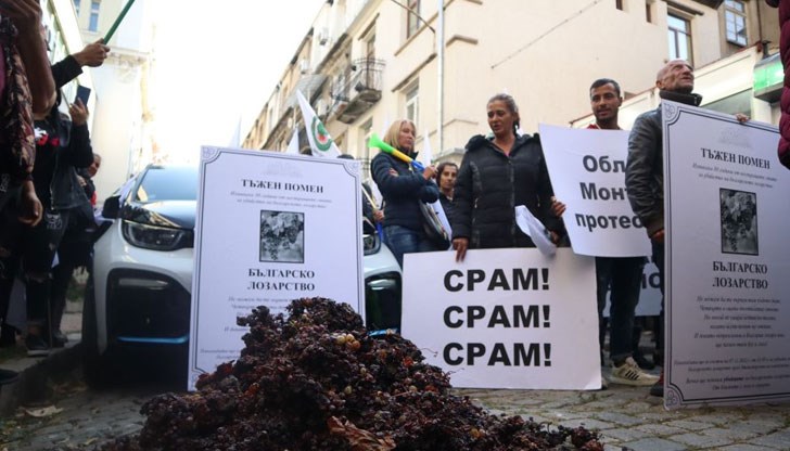 Протестиращите изсипаха изсъхнало грозде пред земеделското министерство