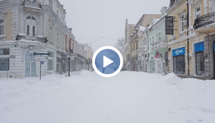 Единственият проблем е свързан със зимовниците и ниското ниво на река Дунав