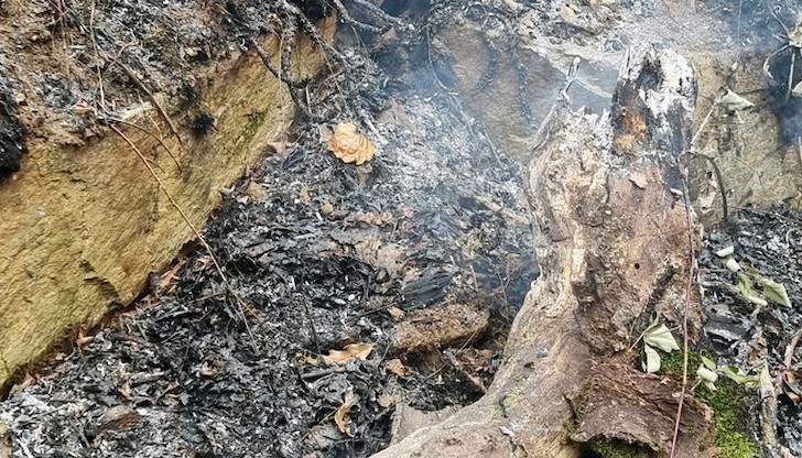 Пострадали от пожара няма