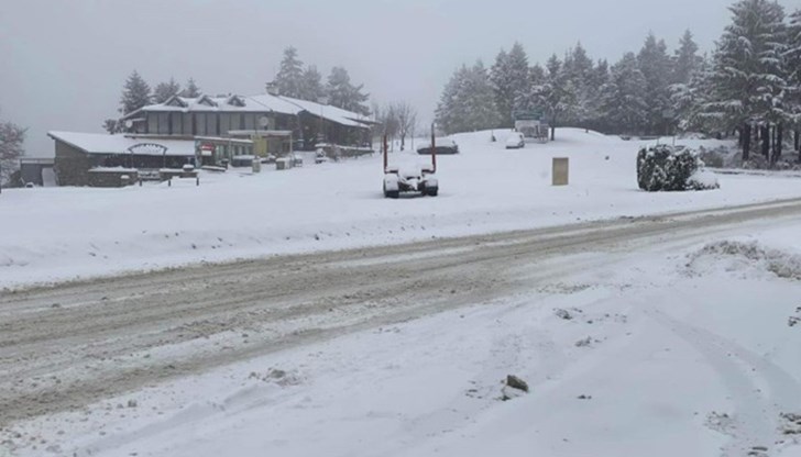 Там вали мокър и тежък сняг, който е предизвикал авария по електропреносната мрежа Там вали мокър и тежък сняг, който е предизвикал авария по електропреносната мрежа