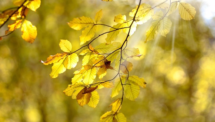 След обяд над по-голямата част от страната ще бъде предимно слънчево След обяд над по-голямата част от страната ще бъде предимно слънчево