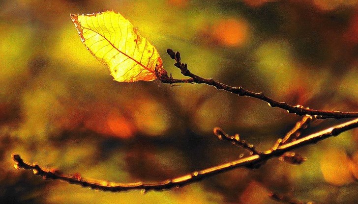 Ще вали ли днес? Ще вали ли днес?