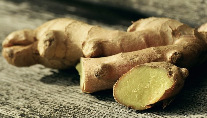 При добра грижа за растението, ще видите първите стъбла до един месец след засаждането При добра грижа за растението, ще видите първите стъбла до един месец след засаждането