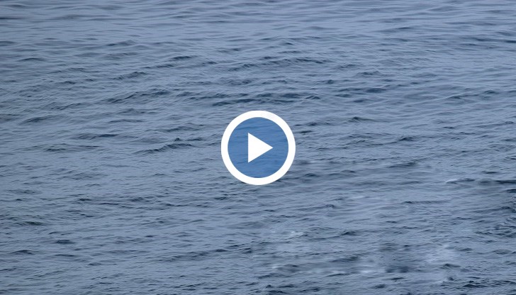 28-годишният турист паднал от кораб, пътуващ от Ню Орлиънс за Мексико