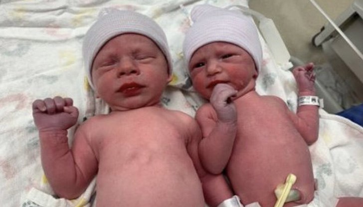 Ембрионите са замразени на 22 април 1992 г.