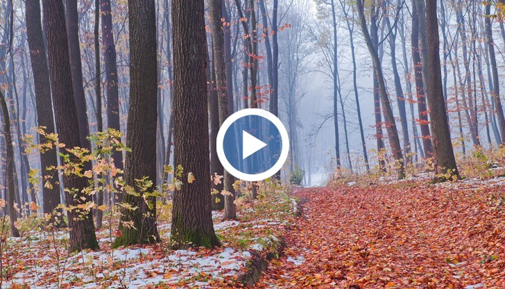 В нощта срещу понеделник може да паднат първите снежинки в ниските части
