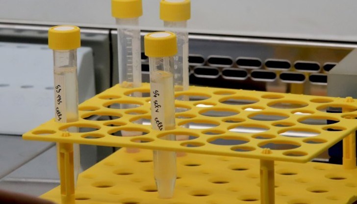 Излекувани през последното денонощие са 1071 души Излекувани през последното денонощие са 1071 души