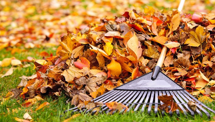 Минималната температура в Русе ще бъде 3°, а максималната ще достигне 19° Минималната температура в Русе ще бъде 3°, а максималната ще достигне 19°