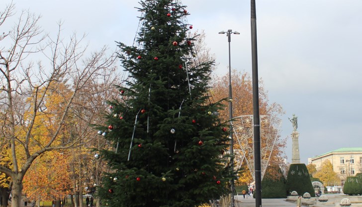 Светлините по традиция ще бъдат запалени от кмета на града Пенчо Милков Светлините по традиция ще бъдат запалени от кмета на града Пенчо Милков