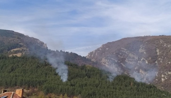 Пожарът 100 процента е умишлен, заяви директорът на Горското стопанство в Карлово