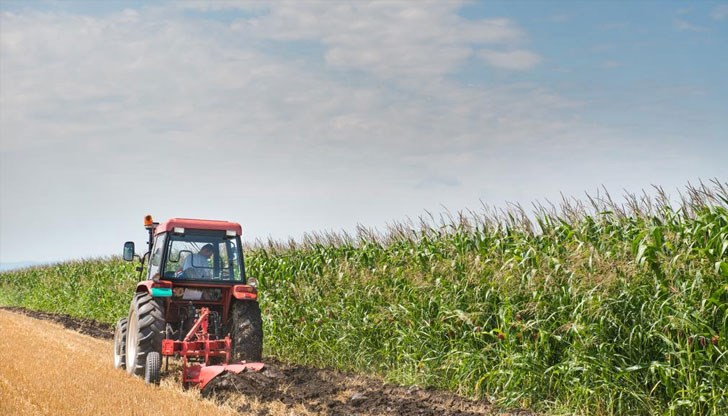 Финансовото подпомагане ще осигури непрекъснатост на дейността на фермерите Финансовото подпомагане ще осигури непрекъснатост на дейността на фермерите