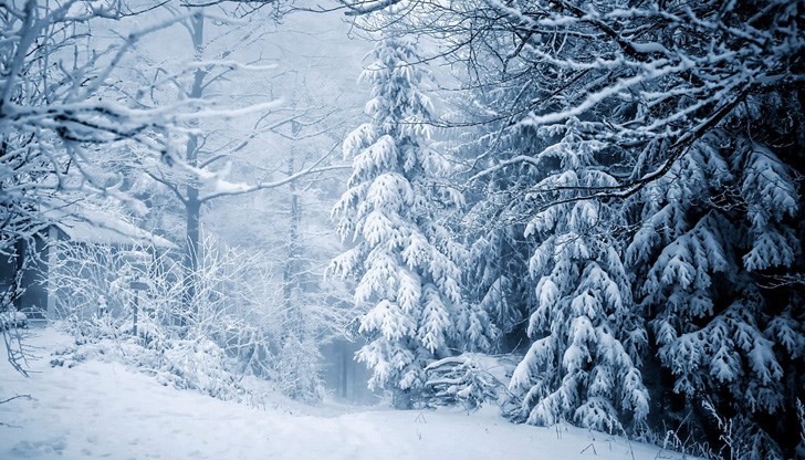 Сняг ще вали по високите планини Сняг ще вали по високите планини