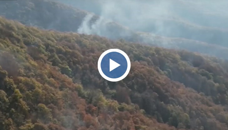 Всички версии за причината на пожара са свързани с човешка намеса