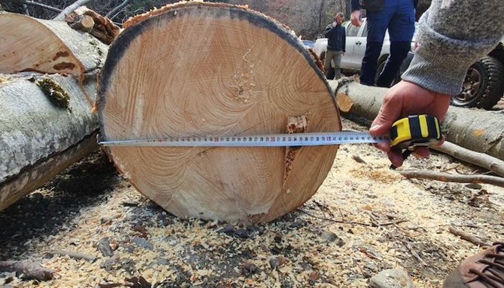 Най-фрапиращите случаи за нарушения са констатирани на територията на ДГС Батак