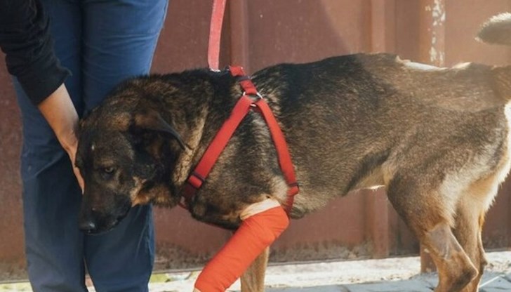 Престъплението предвижда до три години затвор и глоба до 5 хиляди лева