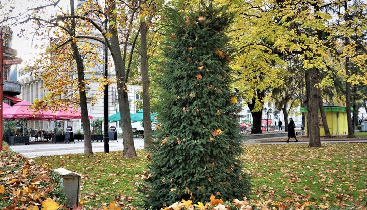 Положителни са 6,4% от пробите в страната Положителни са 6,4% от пробите в страната