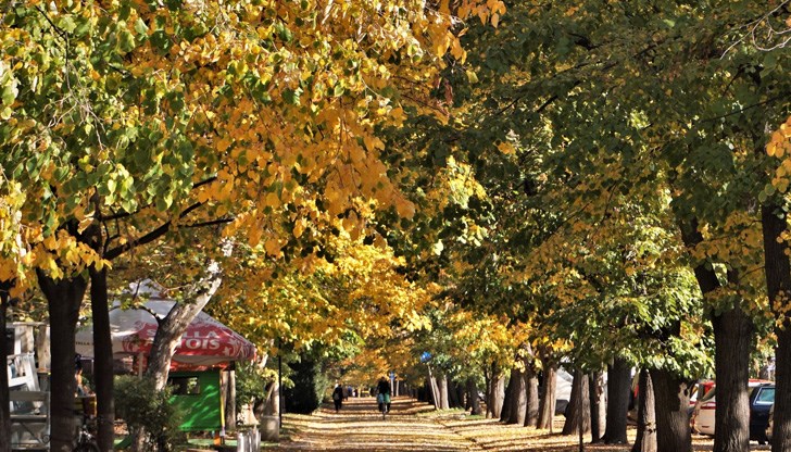 Няма и починали пациенти с потвърдена коронавирусна инфекция