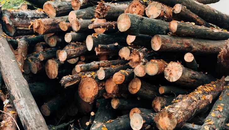 Близо 20 кубика дървесина са открити на три адреса в Глоджево