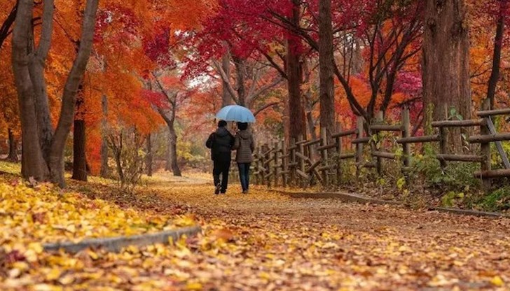 Максималните температури ще са между 12° и 17° Максималните температури ще са между 12° и 17°