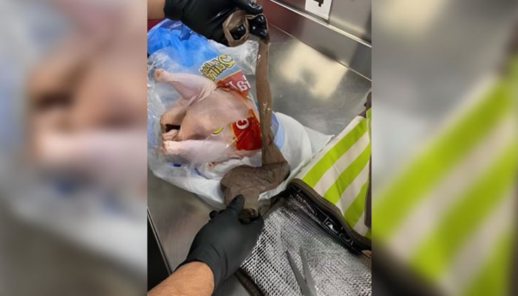 Летищните власти във Флорида се пошегуваха в Instagram, че схемата „не е била добре измислена”