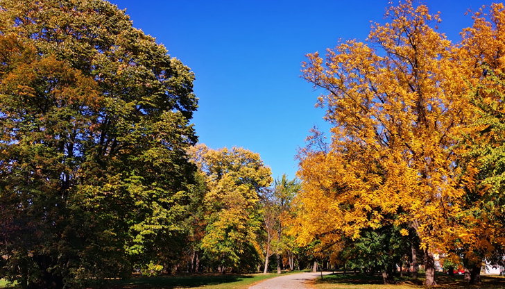 Евентуално захлаждане се очаква след срядаПродължава сухото и топлото време