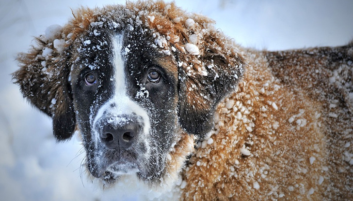 В неделя дневните температури ще са между 4 и 9