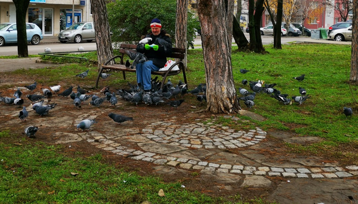 В Русе ще предимно слънчево с максимални градуси 19Сутринта на