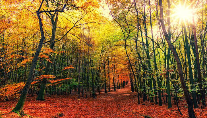 Захлаждането се отлага за следващата седмицаПоне до края на месеца