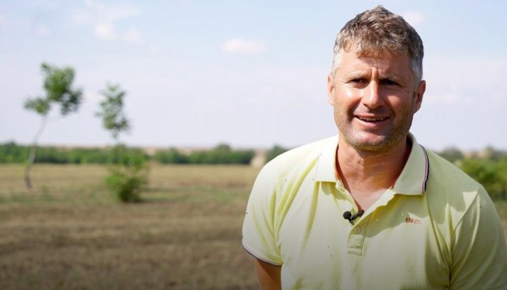 Поле от роза дамасцена в Северна България е необичайна гледкаОще